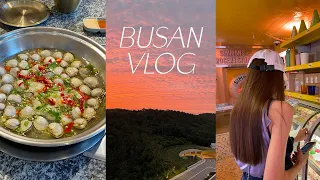 Healing Vlog for a trip to Busan that was just eating for 3 days and 2 nights by Dr.YumYum