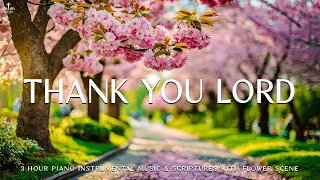 Thank You Lord: Instrumental Worship & Prayer Music with Flower Scene 💮Divine Melodies