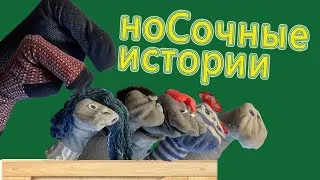 ГОВОРЯЩИЙ НОСОК. ВЕСЕЛЫЕ ИСТОРИИ ИЗ ЖИЗНИ . НОСОК ФИЛОСОФ