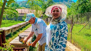 Uzbekistan! The life of a BEEKEEPER in the mountains! BITED BEES! Puffed up FACE!  RURAL LIFE!