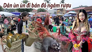 Chợ Bắc Hà những ngày cuối năm - Dân ùn ùn mang đồ ngâm rượu - dược liệu xuống núi bán