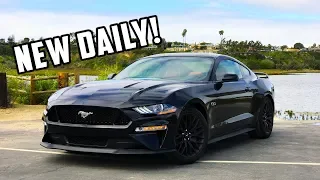 I BOUGHT A MANUAL 2019 MUSTANG GT!