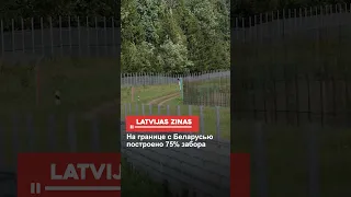 На границе с Беларусью построено 75% забора