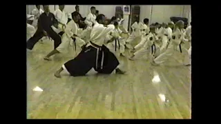 Okinawa Kenpo DSSI Training step three "Preliminary Stretch Routine"