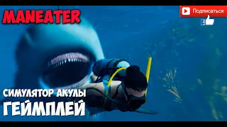 Maneater игра - Симулятор Акулы  экшн с элементами РПГ видео обзор геймплей .