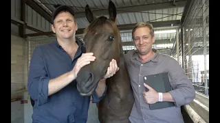 2021 Magic Millions Yearling Sale