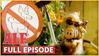 "Border Song" | ALF | FULL Episode: S1 Ep18