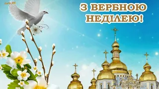 З Вербною Неділею! Миру і добра!