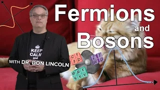 Fermions and Bosons