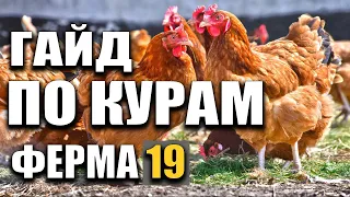 ГАЙД по КУРАМ Farming Simulator 19 | РАЗВОДИМ КУР В Ферме 19