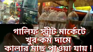 AQUARIUM FISH PRICE KOLKATA |  GALIFF STREET FISH MARKET |  GALIFF STREET PET MARKET RECENT VIDEO