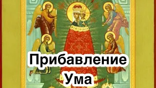 Икона Богородицы Прибавление Ума. История иконы. В чем помогает? О чем молят? Описание, значение.