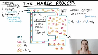 The Haber Process Summary Explanation (making ammonia)