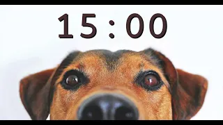 15 Minute Timer for School and Homework - Dog Bark Alarm Sound