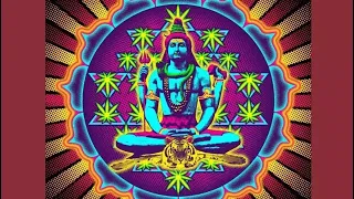 SHIV -  Trippy Experience | Psychedelic Progressive Psy Trance Mix | iMGYNARY ARTT