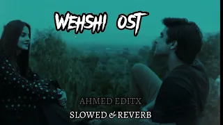 WEHSHI OST (SLOWED + REVERB) WEHSHI Drama Song #khushalkhan #komalmeer #wehshi