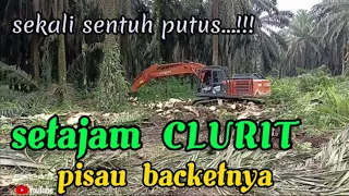 SETAJAM CLURIT...!!! PERHATIKAN, YANG JAGO BUKAN OPERATORNYA,TP PISAUNYA