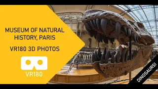 National Museum Of Natural History Paris 3D photographs VR180 Canon RF 5.2mm F2.8L Dual Fisheye lens