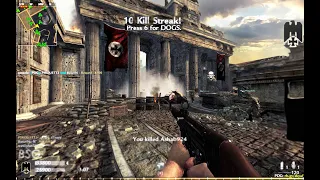 Call of Duty: World at War | The precise German STG-44 in 2024