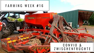 Farming Week #16 | Convio & Zwischenfrüchte