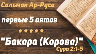 Сура АЛЬ БАКАРА 1-5 с переводом /Первые 5 аятов/Аяты с переводом из суры Аль Бакара/ Сальман Ар Руси