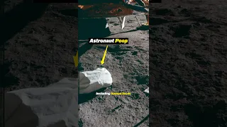 There is Poop on the Moon (seriously)