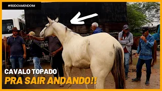 FEIRA DE CAVALO EM CARUARU PE!! 300 REAIS JÁ COMPRA UM CAVALO!! 05/07/2022