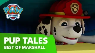 PAW Patrol - Marshall Rescue Mashup Compilation - PAW Patrol Official & Friends!