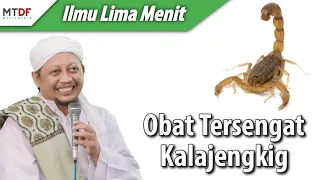 Obat Disengat Kalajengking / obat digigit kalajengking