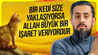 Bir Kedi Size Yaklaşıyorsa Allah Büyük Bir İşaret Veriyordur - Kelb | Mehmet Yıldız