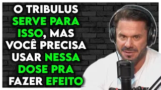 TRIBULUS SOBE MUITO A TESTOSTERONA? AJUDA NA HIPERTROFIA MUSCULAR? | Renato Cariani Ironberg