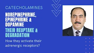 Sympathomimetics: Catecholamine reuptake, degradation & interaction with adrenergic receptors Edited