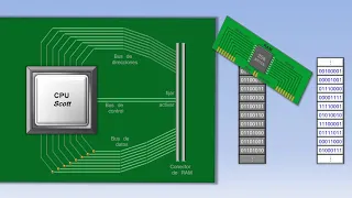 Vea cómo funciona una CPU/PC #InOneLesson #JClarkeScott #ButHowDoItKnow | Cómputo Business Class