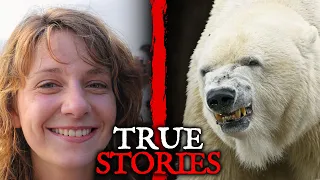 5 Most SHOCKING Polar Bear Attack Stories of The Year