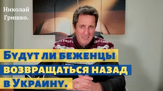 Будут ли беженцы возвращаться назад в Украину. Николай Гришко.