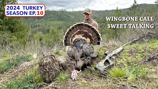 CALLING IN A FLOCK - Western Turkey Hunting CLOSE RANGE