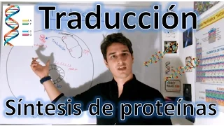 Translation (Protein Synthesis) high level. For beginners IN 9 MINUTES
