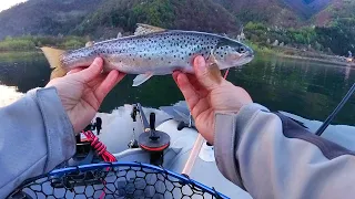 Pescuitul la pastrav pe lac salbatic este mereu o provocare