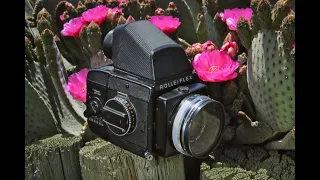 Photographing Cactus with a Rollei SL-66