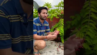 Zero Rupees mein Gardening! 5 saste jugaad! 🌿🌿🌿