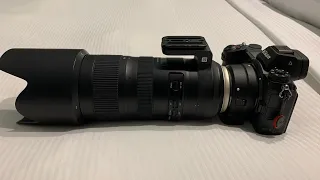 Nikon Z6 + Tamron 70-200 f/ 2.8 G2 Impressions