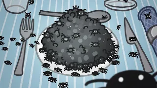 Who’s Eating All The Spiders?