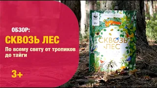 К.Дорион: Сквозь лес. По всему свету от тропиков до тайги 3+| Детская книжная полка