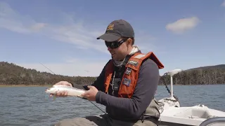Wet Fly Fishing |  Loch Style Fishing For Trout In Tasmania