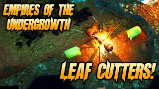 Leaf Cutter Update, Ants Are HUGE - Empires Of The Undergrowth Gameplay