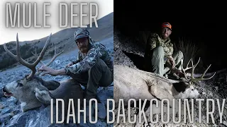 TWO 4x4 Mule Deer Bucks Down -- Idaho Backcountry 2022