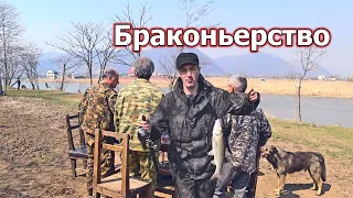 Рыбалка на спиннинг. Клев рыбы на тараканов! Рыбные места и браконьеры!