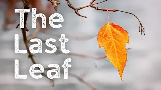 The Last Leaf - O. Henry (audiobook)