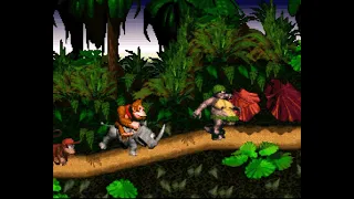 Donkey Kong Country