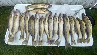 Shallow Water Walleyes(Bottom bouncing)